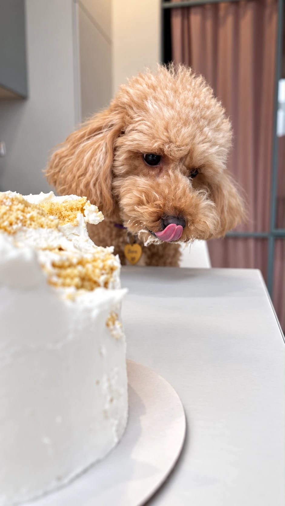 Nessie licking her lips beside her cake